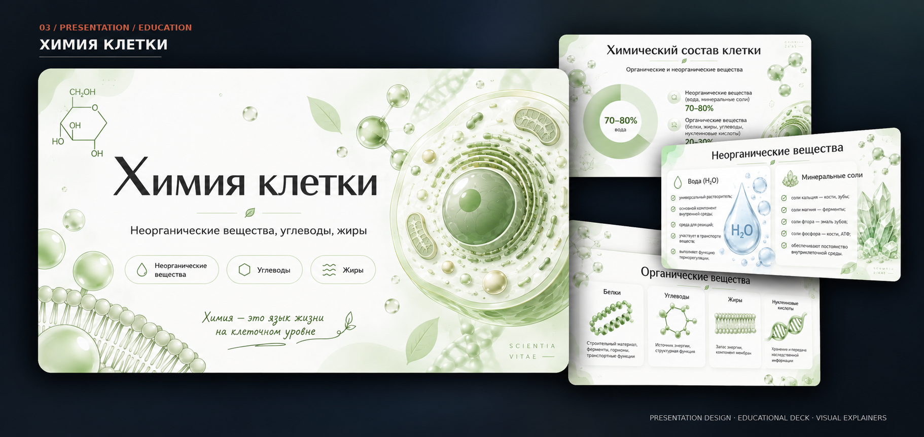 Презентация «Химия клетки» с образовательными визуализациями